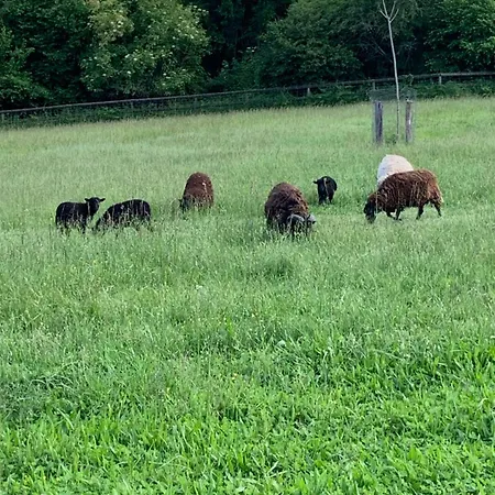 La Petite Ferme Peyre Casa vacanze Creon-d'Armagnac