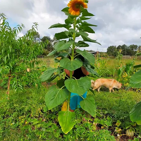 La Petite Ferme Peyre
